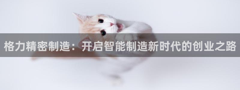彩神ix官网是哪个公司的：格力精密制造：开启智能制造新时代的创业之路