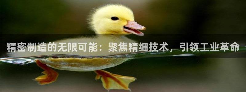 彩神xapp官方网站：精密制造的无限可能：聚焦精细技术，引领工业革命