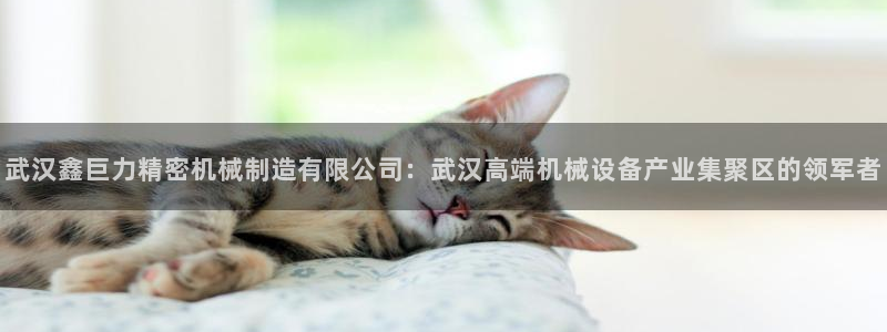 彩神vip购彩大厅在哪：武汉鑫巨力精密机械制造有限公司：武汉高端机械设备产业集聚区的领军者