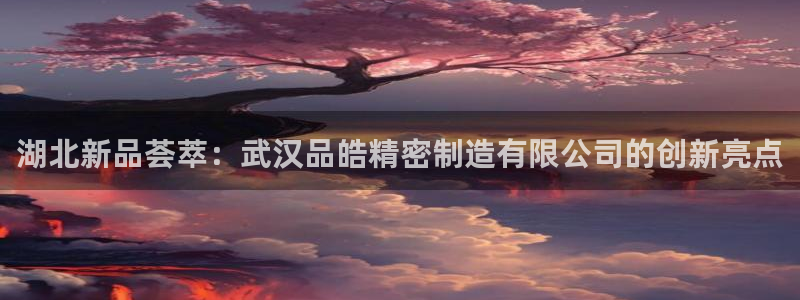 大发彩神官网下载：湖北新品荟萃：武汉品皓精密制造有限公司的创新亮点