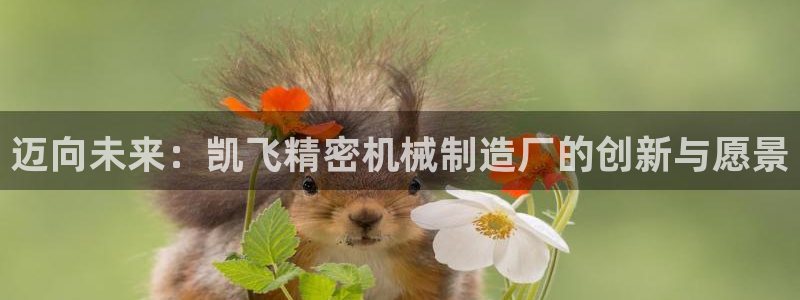 彩神购彩-购彩大厅入口：迈向未来：凯飞精密机械制造厂的创新与愿景