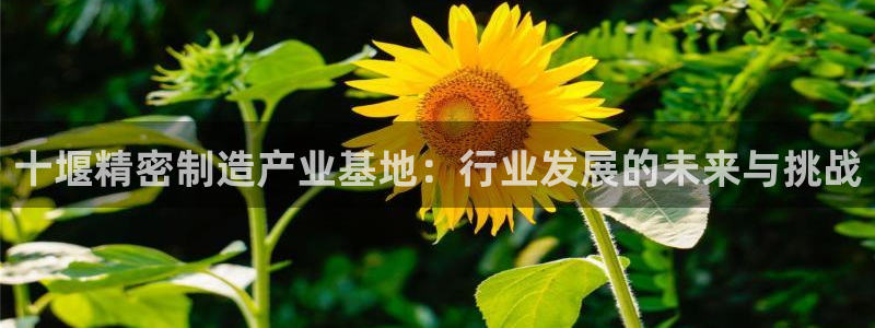 彩神平台注册登录