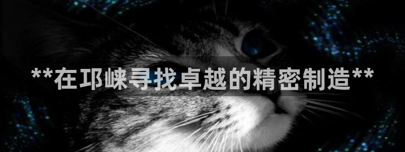 彩神vl购彩大厅：**在邛崃寻找卓越的精密制造**