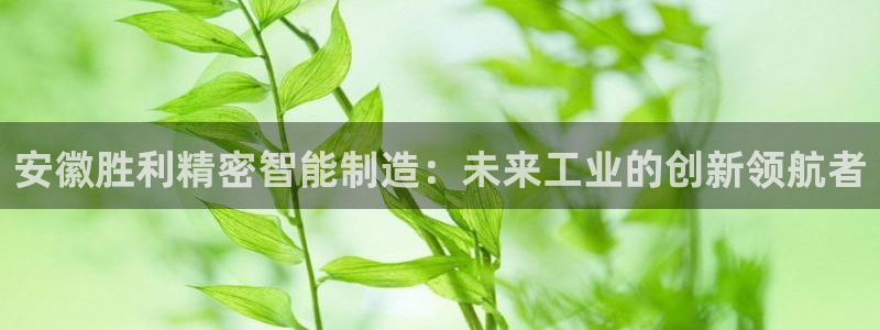 新版彩神v8登录不了：安徽胜利精密智能制造：未来工业的创新领航者