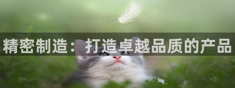 彩神官方邀请码是多少