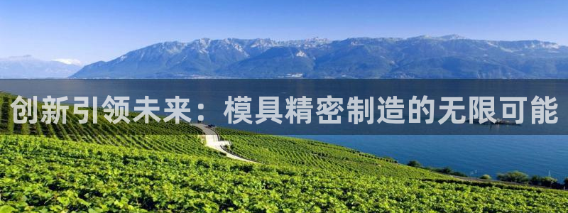 彩神vii官网：创新引领未来：模具精密制造的无限可能