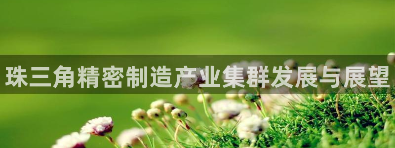 彩神vⅲ下载安装：珠三角精密制造产业集群发展与展望