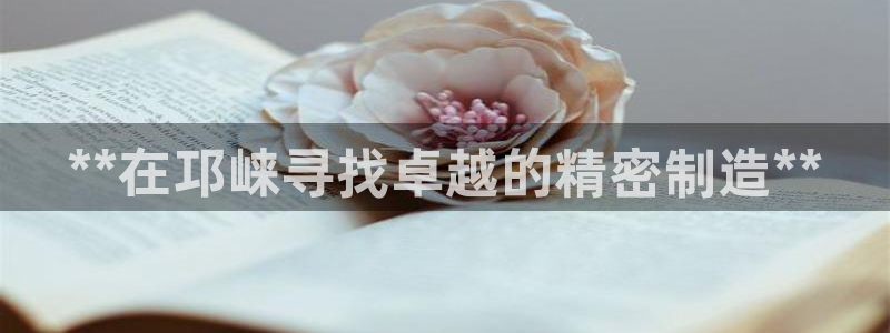 彩神v8app：**在邛崃寻找卓越的精密制造**