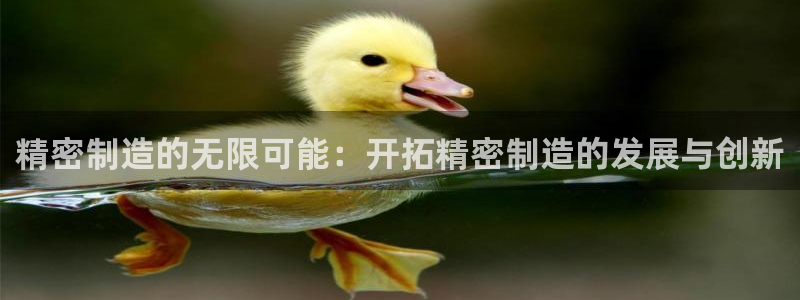 彩神v1破解器：精密制造的无限可能：开拓精密制造的发展与创新