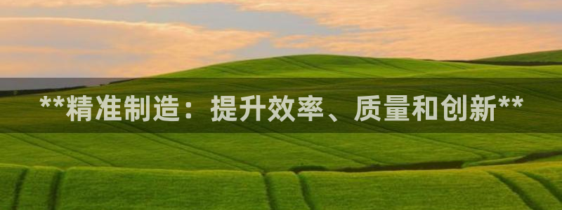 彩神V购彩大厅：**精准制造：提升效率、质量和创新**