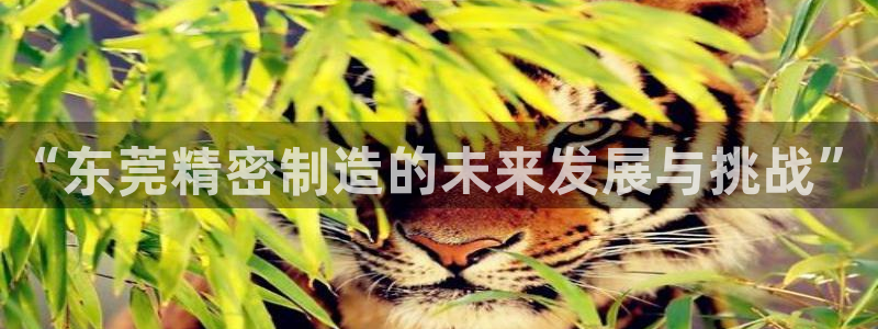 下载彩神通关注码：“