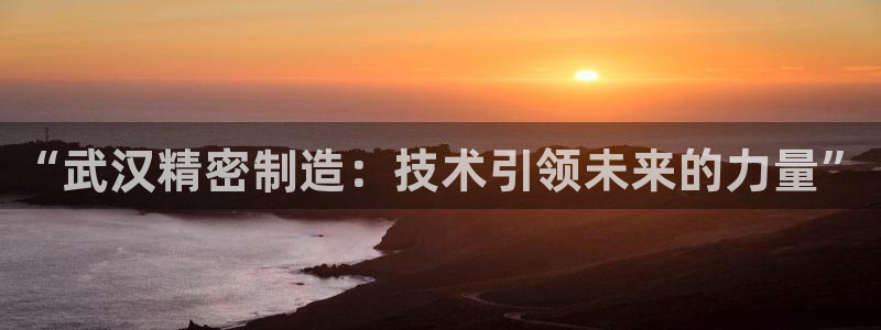 彩神赢钱了吗：“武汉精密制造：技术引领未来的力量”