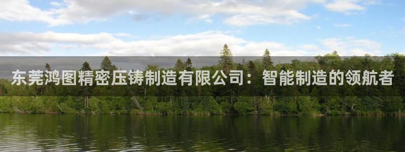 彩神购彩-购彩大厅入口下载：东莞鸿图精密压铸制造有限公司：智能制造的领航者