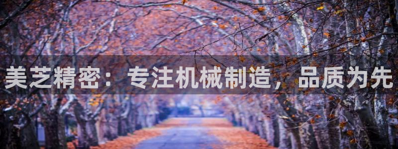 彩神官方邀请码是多少：美芝精密：专注机械制造，品质为先