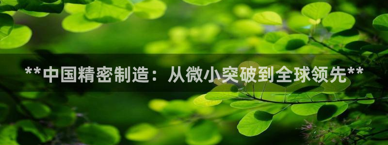 彩神购彩-购彩大厅入口计划群：**中国精密制造：从微小突破到全球领先**