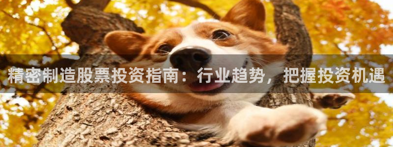 彩神购彩-购彩大厅入口：精密制造股票投资指南：行业趋势，把握投资机遇