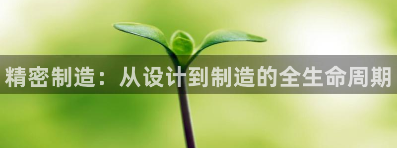 彩神ix是真的吗：精密制造：从设计到制造的全生命周期
