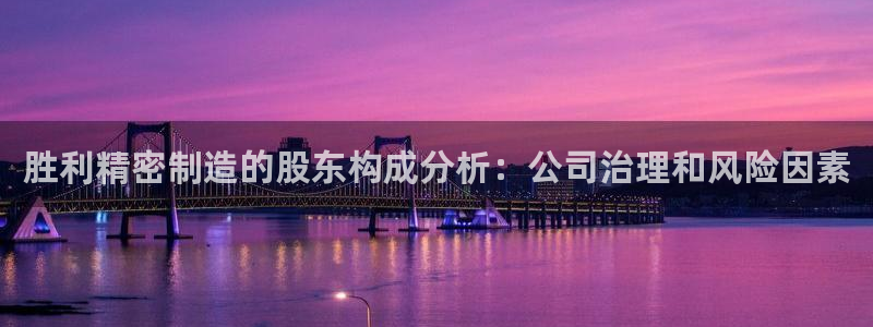 彩神V8有限公司：胜利精密制造的股东构成分析：公司治理和风险因素