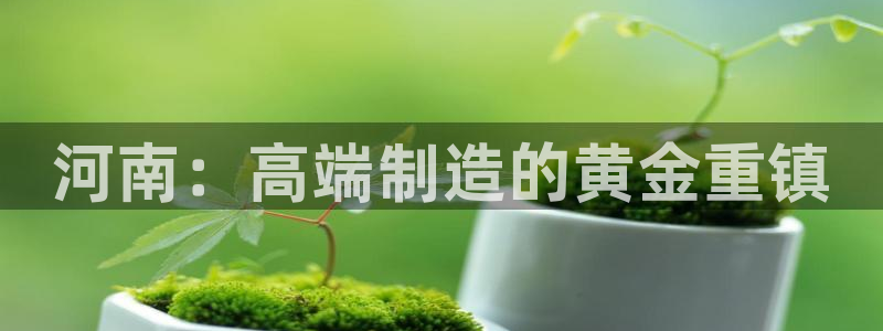 彩神天下专家专栏：河南：高端制造的黄金重镇