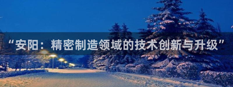 下载彩神v8：“安阳：精密制造领域的技术创新与升级”