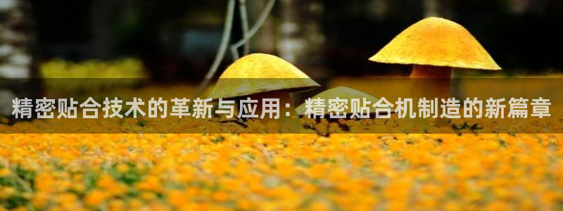 彩神天下专家专栏