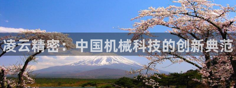 彩神vii官网：凌云