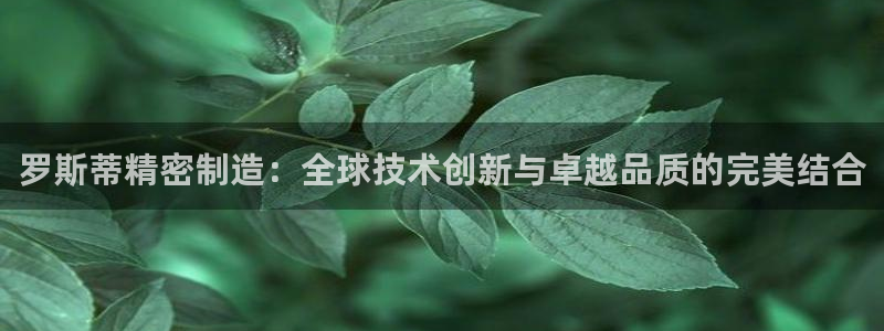 彩神赢钱了吗知乎：罗斯蒂精密制造：全球技术创新与卓越品质的完美结合