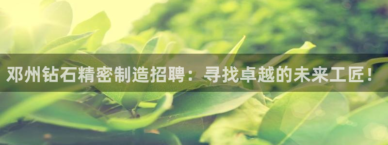 所有彩神购买首页都一样吗：邓州钻石精密制造招聘：寻找卓越的未来工匠！