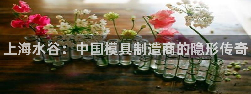 彩神v8客户端：上海水谷：中国模具制造商的隐形传奇