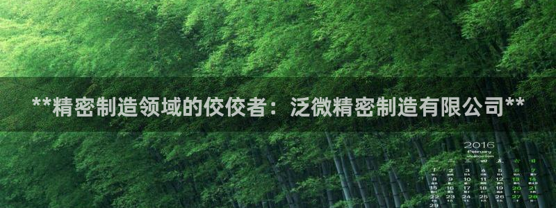 彩神平台注册登录：**精密制造领域的佼佼者：泛微精密制造有限公司**