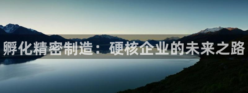 新版彩神v8登录教程：孵化精密制造：硬核企业的未来之路