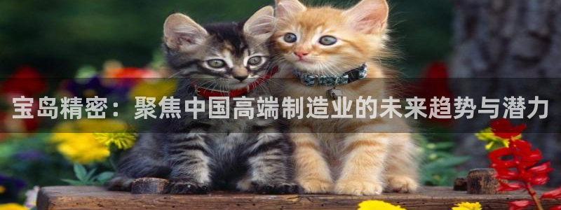 下载彩神通关注码：宝岛精密：聚焦中国高端制造业的未来趋势与潜力