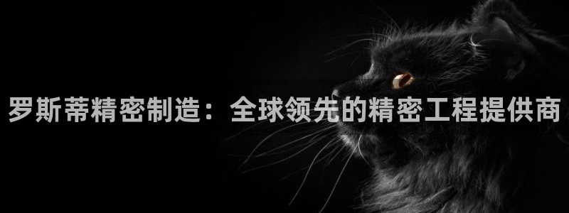 彩神vll官网在线登录：罗斯蒂精密制造：全球领先的精密工程提供商