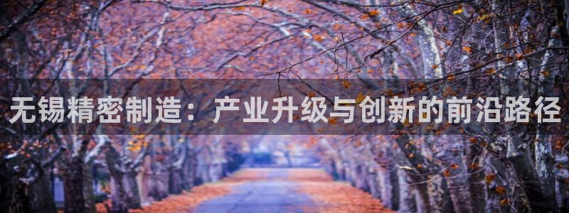 彩神新微聊：无锡精密制造：产业升级与创新的前沿路径