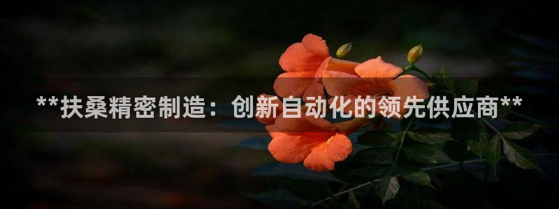 彩神v：**扶桑精密制造：创新自动化的领先供应商**