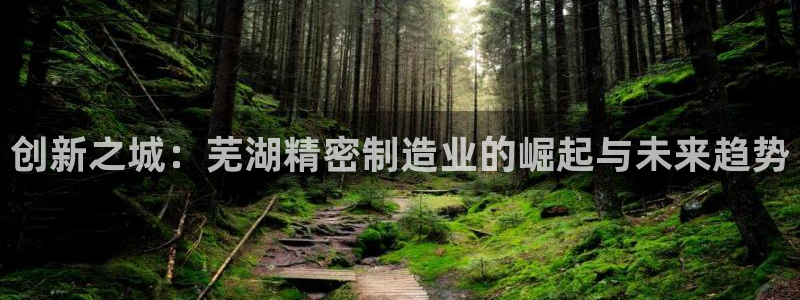 彩神v8官网版：创新