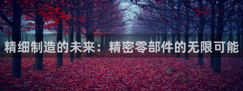 彩神v下载安装：精细