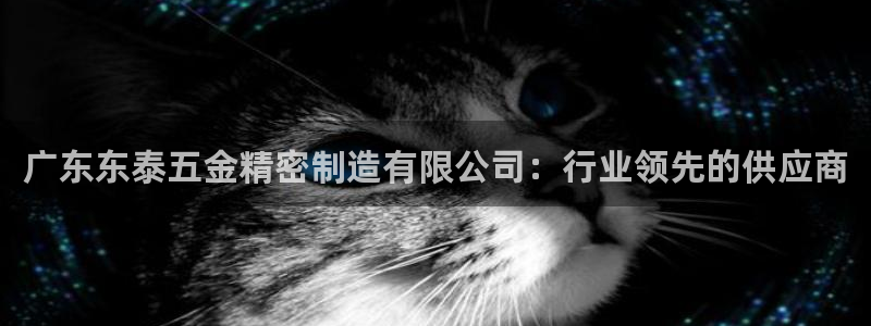 所有彩神购买首页中心：广东东泰五金精密制造有限公司：行业领先的供应商