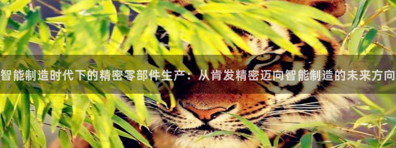 彩神v8是真的挣钱吗：智能制造时代下的精密零部件生产：从肯发精密迈向智能制造的未来方向