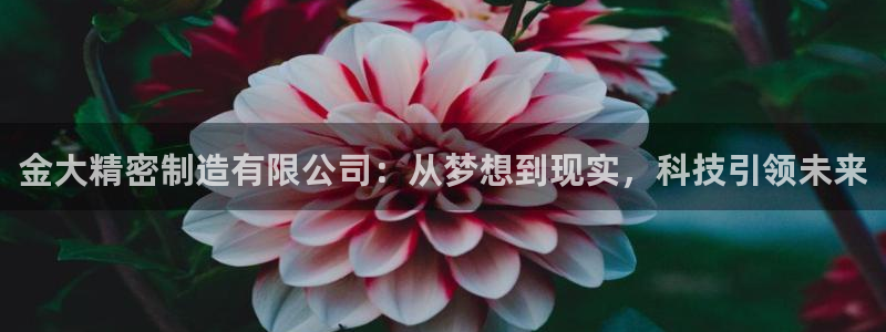 彩神vlll官方网：金大精密制造有限公司：从梦想到现实，科技引领未来