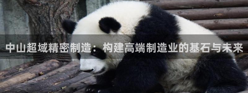 彩神购彩-购彩大厅入口娱乐首选