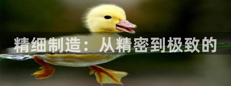 彩神vip购彩大厅在哪：精细制造：从精密到极致的