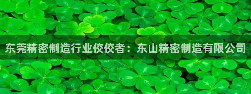 彩神数码科技有限公司：东莞精密制造行业佼佼者：东山精密制造有限公司