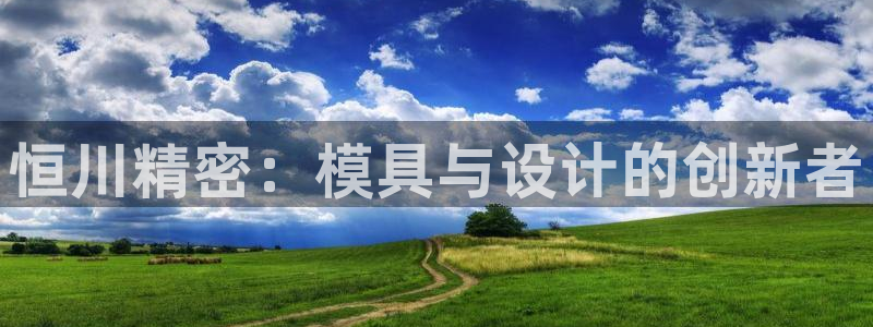 彩神网能赚钱是怎么回事：恒川精密：模具与设计的创新者