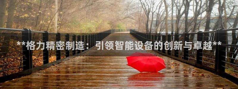 彩神大发如何观察走势：**格力精密制造：引领智能设备的创新与卓越**