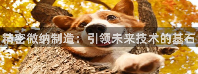 彩神购彩-购彩大厅入口娱乐首选