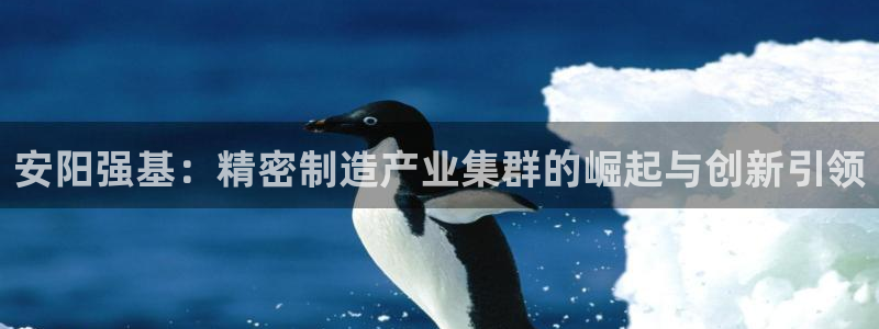 彩神8是正规平台吗：安阳强基：精密制造产业集群的崛起与创新引领