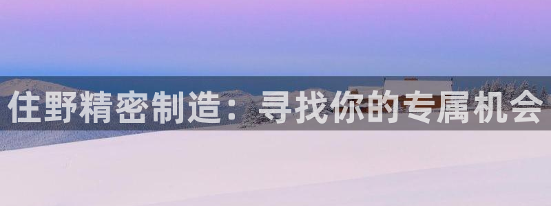 彩神v8手机客户端下载