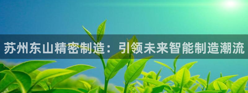 所有彩神购买首页都一样吗：苏州东山精密制造：引领未来智能制造潮流