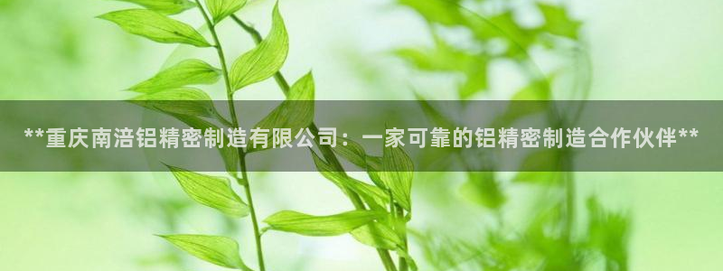 彩神v平台：**重庆南涪铝精密制造有限公司：一家可靠的铝精密制造合作伙伴**